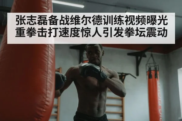 张志磊备战维尔德训练视频曝光重拳击打速度惊人引发拳坛震动